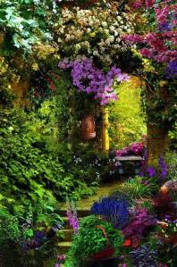 Beauty-Garden